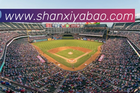 多媒体互动体验